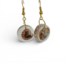 Load image into Gallery viewer, Pakiri Spiral Drops Earrings
