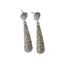 Load image into Gallery viewer, Shimmer Tassel Earrings
